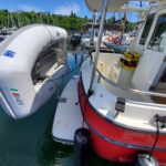 Clifford-21980_78706_250363_R