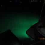 Clifford-21980_78706_194314_R